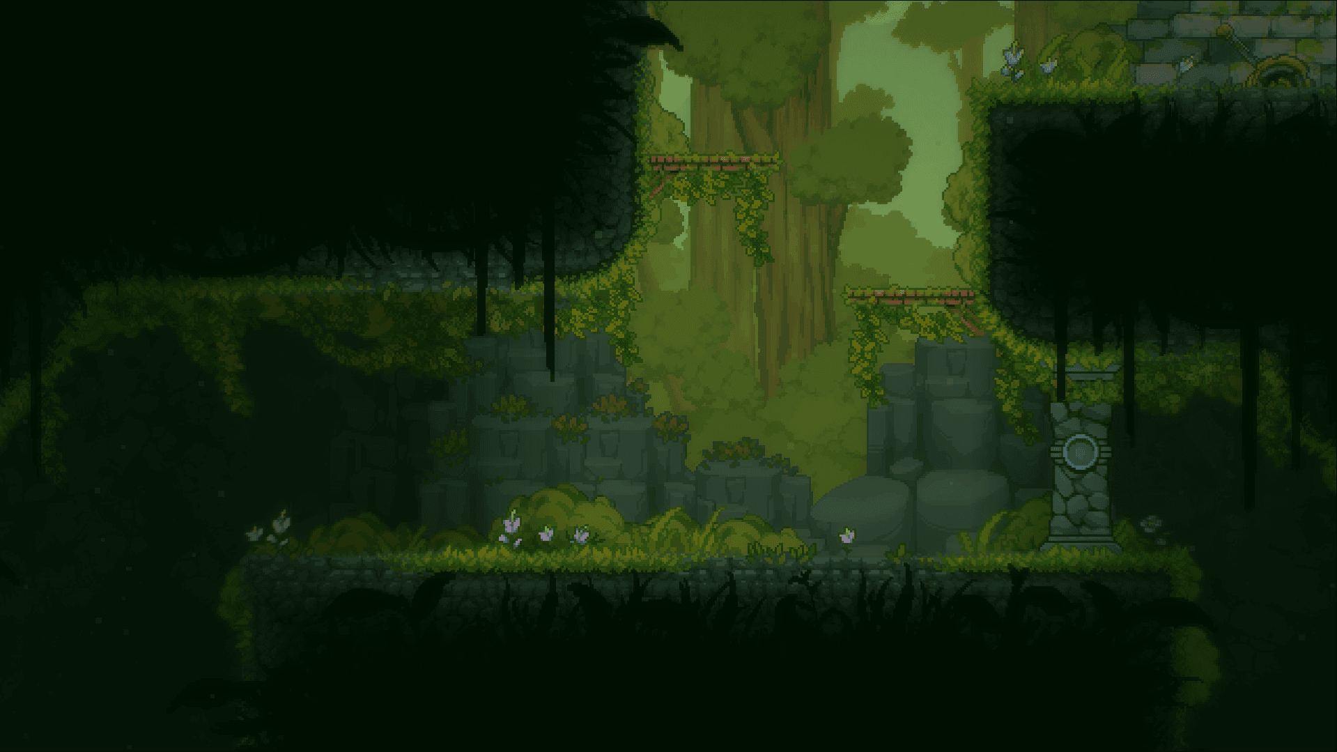 A grassy environment with a forest background.